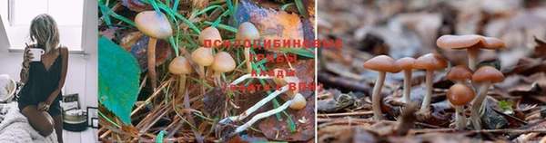 меф VHQ Мегион