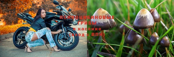 соль курить ск Медвежьегорск